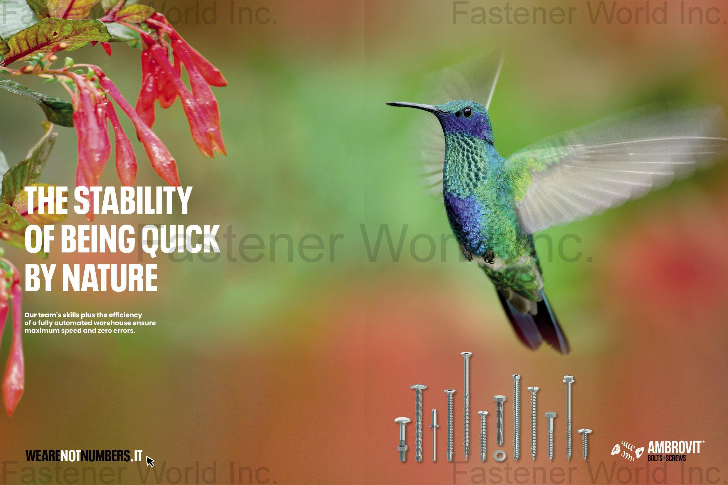 AMBROVIT S.P.A. , Chipboard Screws / Combined Screws / Machine Screws / Wood Screws / Hexagon Head Cap Screws / TRI-LOBULAR Screws / PVC Screws / Self-Tapping Screws / Countersunk Bolts / Hexagon Nuts / Flat Washers / Self-drilling Screws